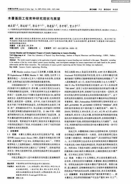 木薯基因工程育种研究现状与展望