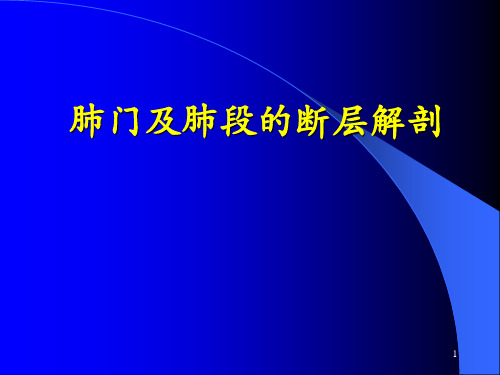肺门及肺段的断层解剖演示精品PPT课件
