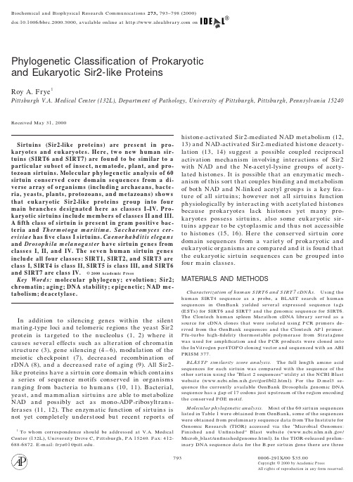 Phylogenetic Classification of Prokaryotic