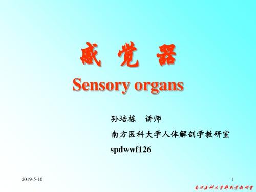 新编文档-Human anatomy-12视器-精品文档