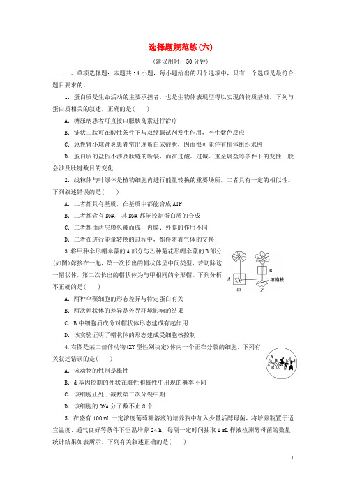 新高考2020高考生物二轮复习第三部分选择题规范练选择题规范练六202003190233