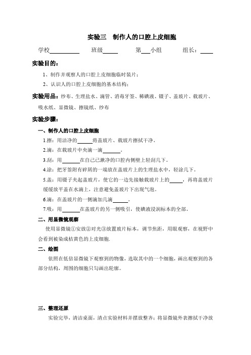 新人教版七年级生物实验报告单-制作人的口腔上皮细胞