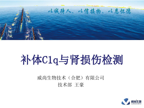 补体C1q与肾损伤检测