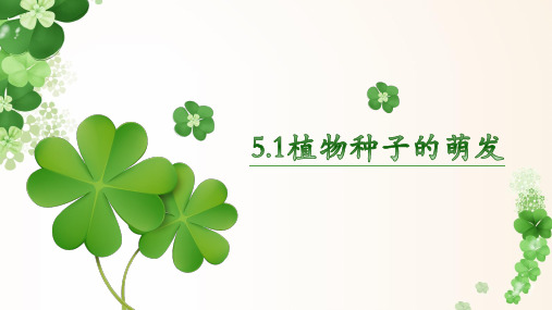 苏教版七年级上册5.1植物种子的萌发课件(16张ppt)