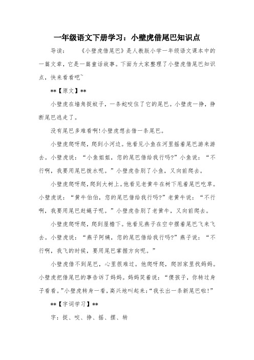 一年级语文下册学习：小壁虎借尾巴知识点