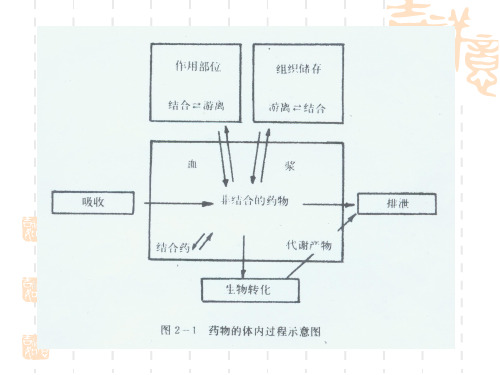 药物与血浆蛋白结合的程度