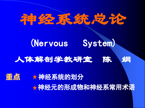 神系统总论ppt课件