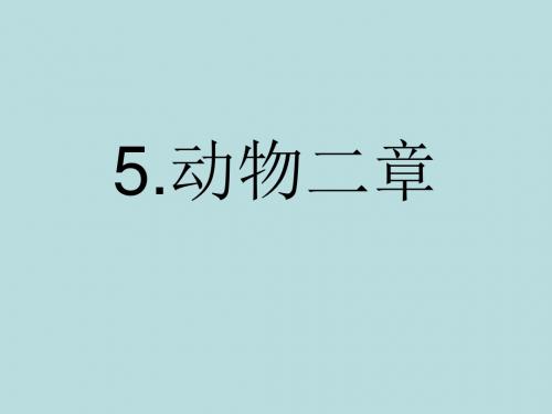 5.《鸬鹚》
