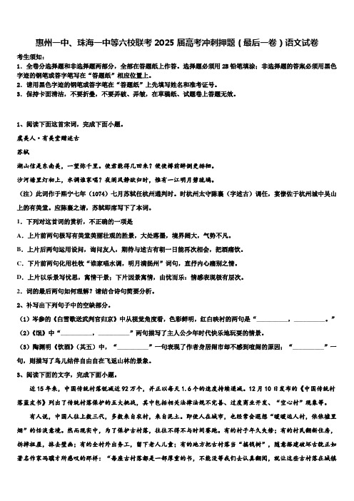 惠州一中、珠海一中等六校联考2025届高考冲刺押题(最后一卷)语文试卷含解析2