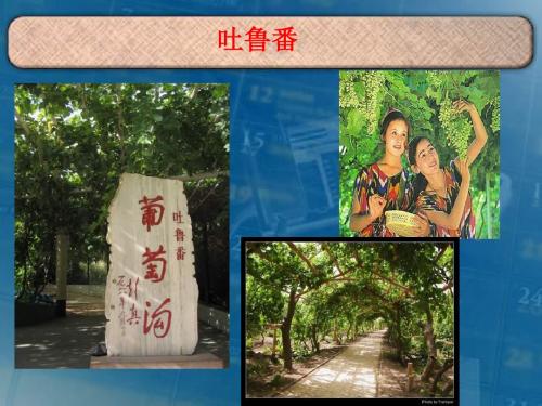 汉通西域和丝绸之路ppt24 人教版