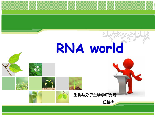 RNA world    RNA世界
