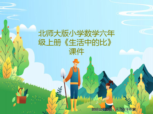 北师大版小学数学六年级上册《生活中的比》课件共16页