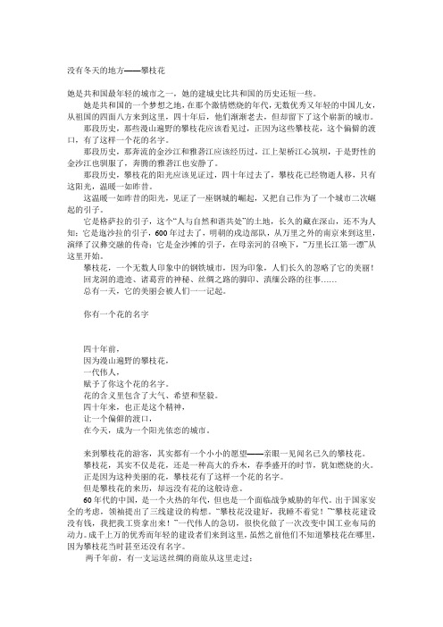 攀枝花