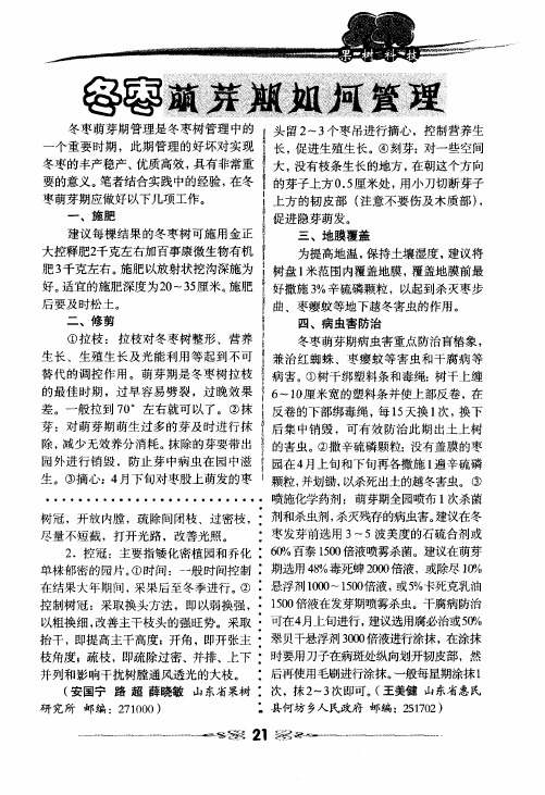 冬枣萌芽期如何管理