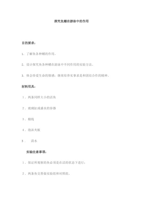 探究鱼鳍在游泳中的作用