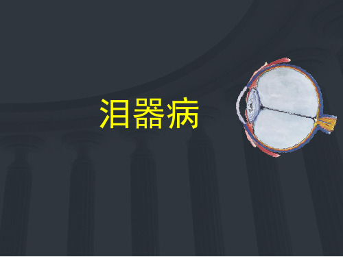 泪道疾病  ppt课件