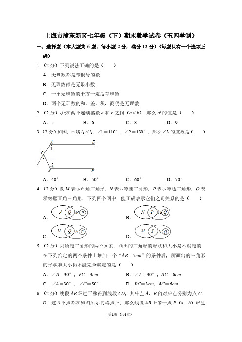 上海市浦东新区七年级(下)期末数学试卷(五四学制)