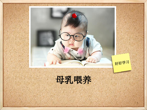 母乳喂养知识点课题PPT课件