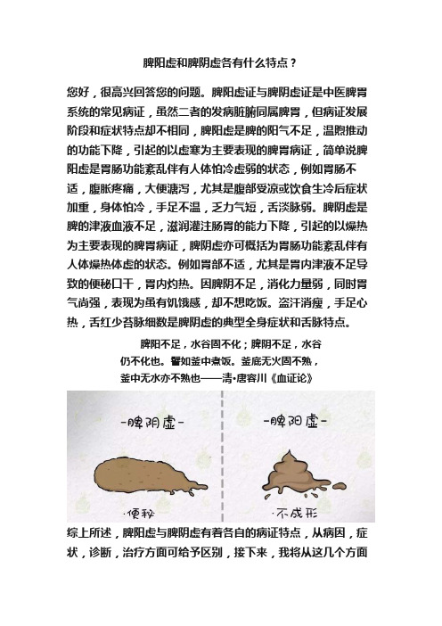 脾阳虚和脾阴虚各有什么特点？