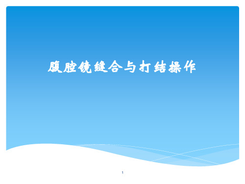 腹腔镜缝合打结技能实训PPT精选课件