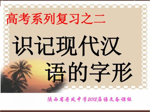 2012字形专题课件