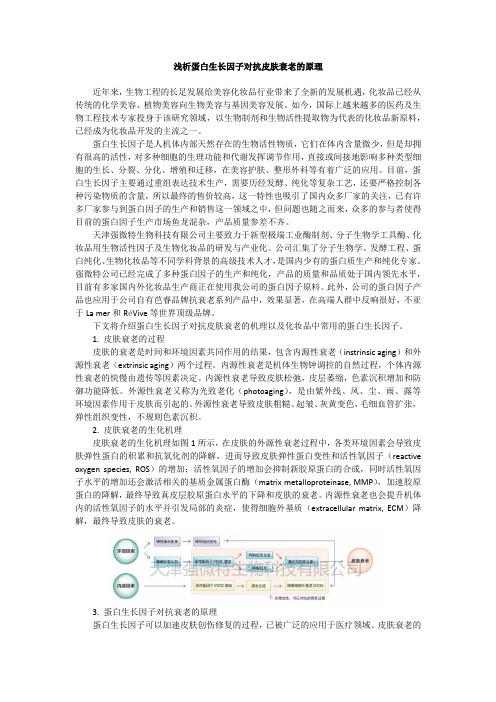 浅析蛋白生长因子对抗皮肤衰老的原理
