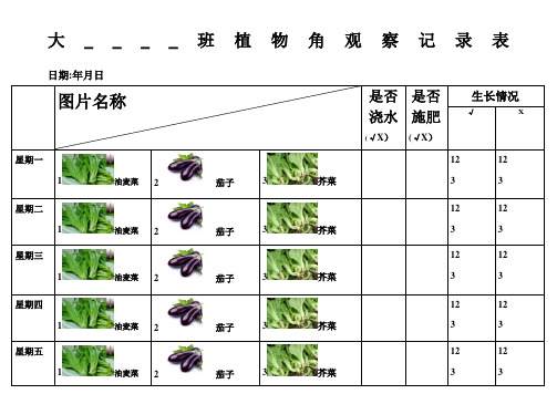 大班植物角观察记录表