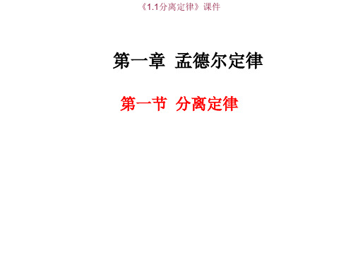 《1.1分离定律》课件3