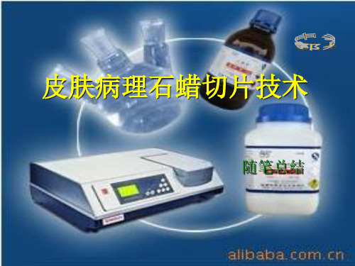 皮肤病理石蜡切片