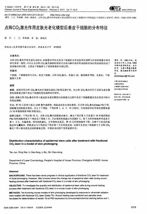 点阵CO2激光作用皮肤光老化模型后表皮干细胞的分布特征