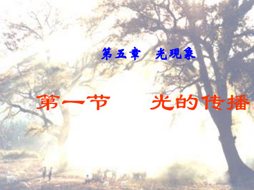 《21光的传播》课件