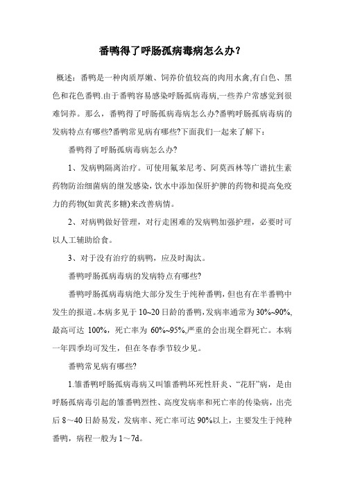 番鸭得了呼肠孤病毒病怎么办？.doc