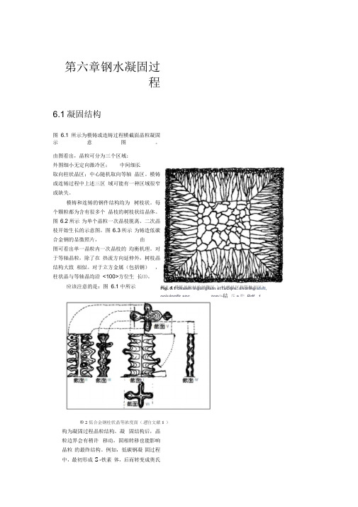 第六章钢水凝固过程