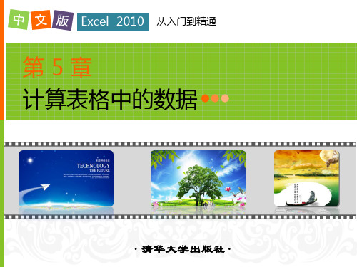 第5章计算表格中的数据 中文版Excel 2010从入门到精通课件