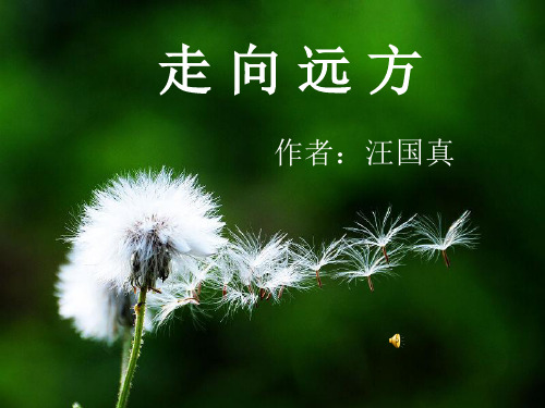 PPT-走向远方