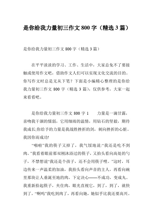 是你给我力量初三作文800字(精选3篇)