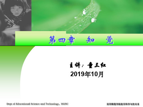 知觉7521168共33页