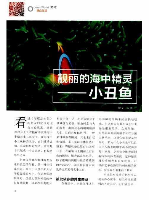 靓丽的海中精灵——小丑鱼
