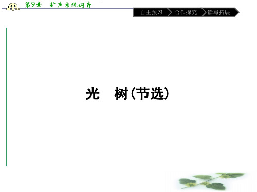 高中语文选修(人教 课件) 中国现代诗歌散文欣赏 散文 第五单元 光 树(节选)23