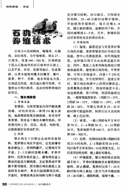 石鸡养殖技术