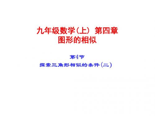4.4.2 探索三角形相似的条件2-新北师大版