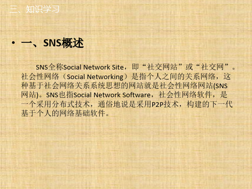 第九章  SNS  《电子商务实务》PPT课件