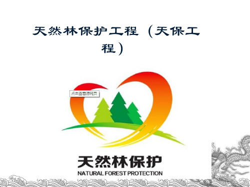 天保工程简介