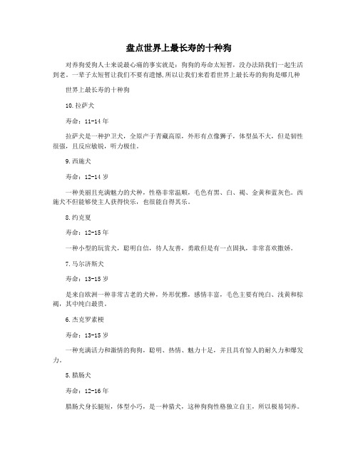 盘点世界上最长寿的十种狗