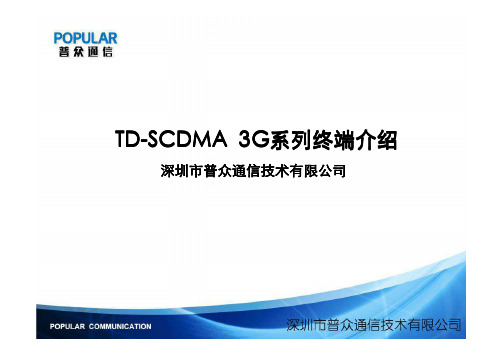 TD终端介绍(2)