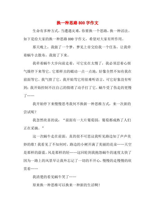 换一种思路800字作文
