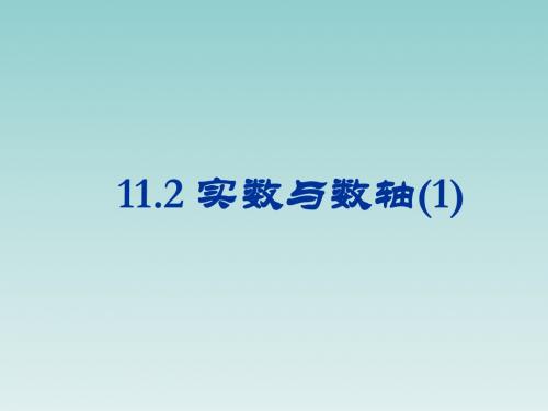 华东师大版八年级数学上册11.2实数(1)