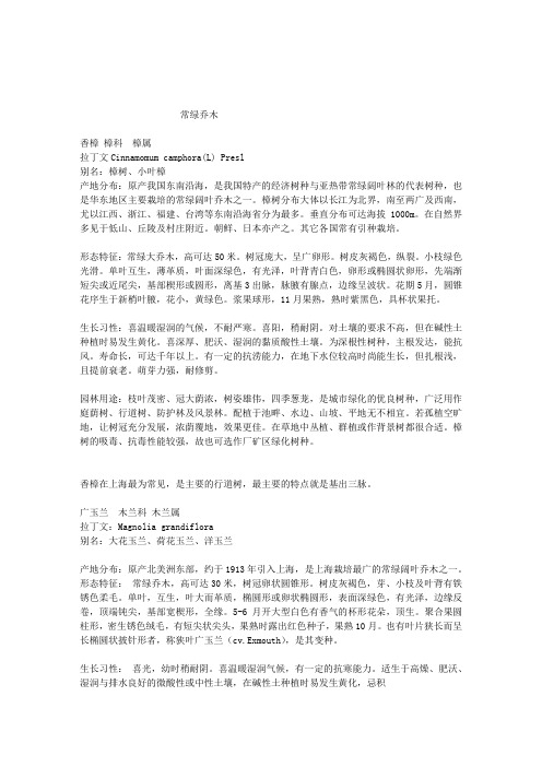 上海常用常绿乔木