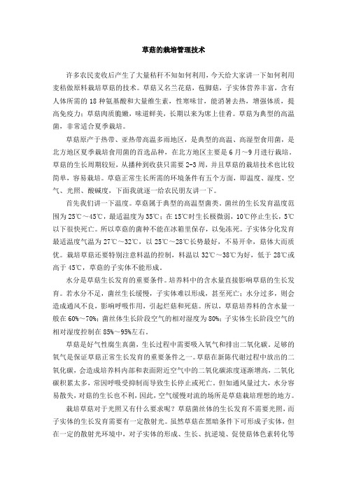 草菇的栽培管理技术