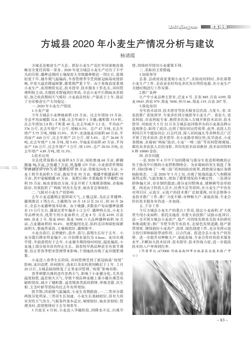 方城县2020年小麦生产情况分析与建议